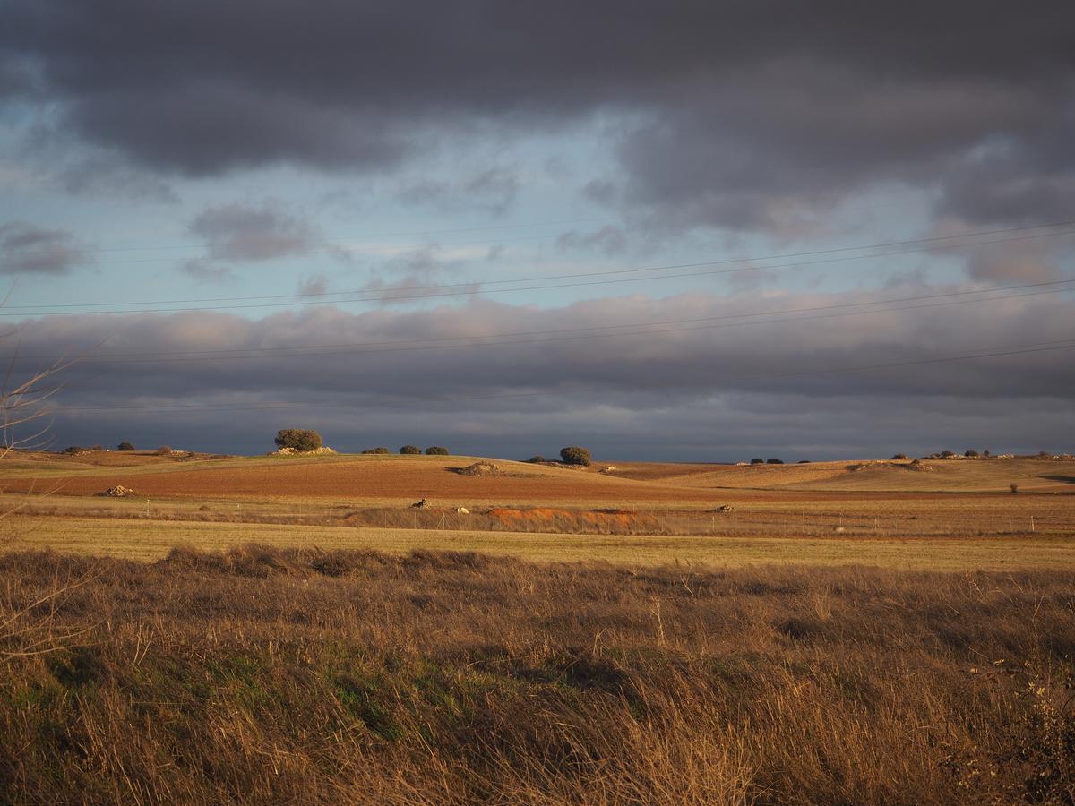 La Fuensanta Hostal-Rural Horche Exteriér fotografie